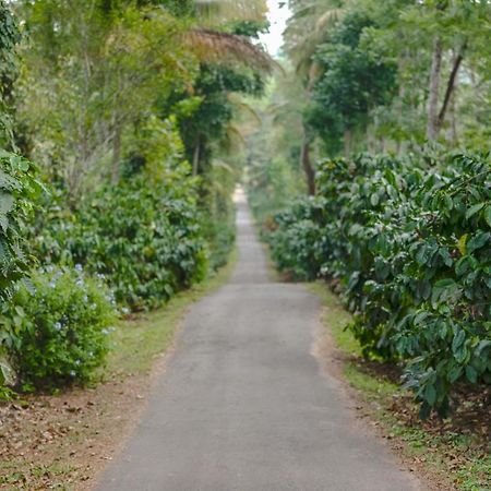 Belvilla The School Estate- Luxury Heritage Home In 200 Acres Madikeri Buitenkant foto