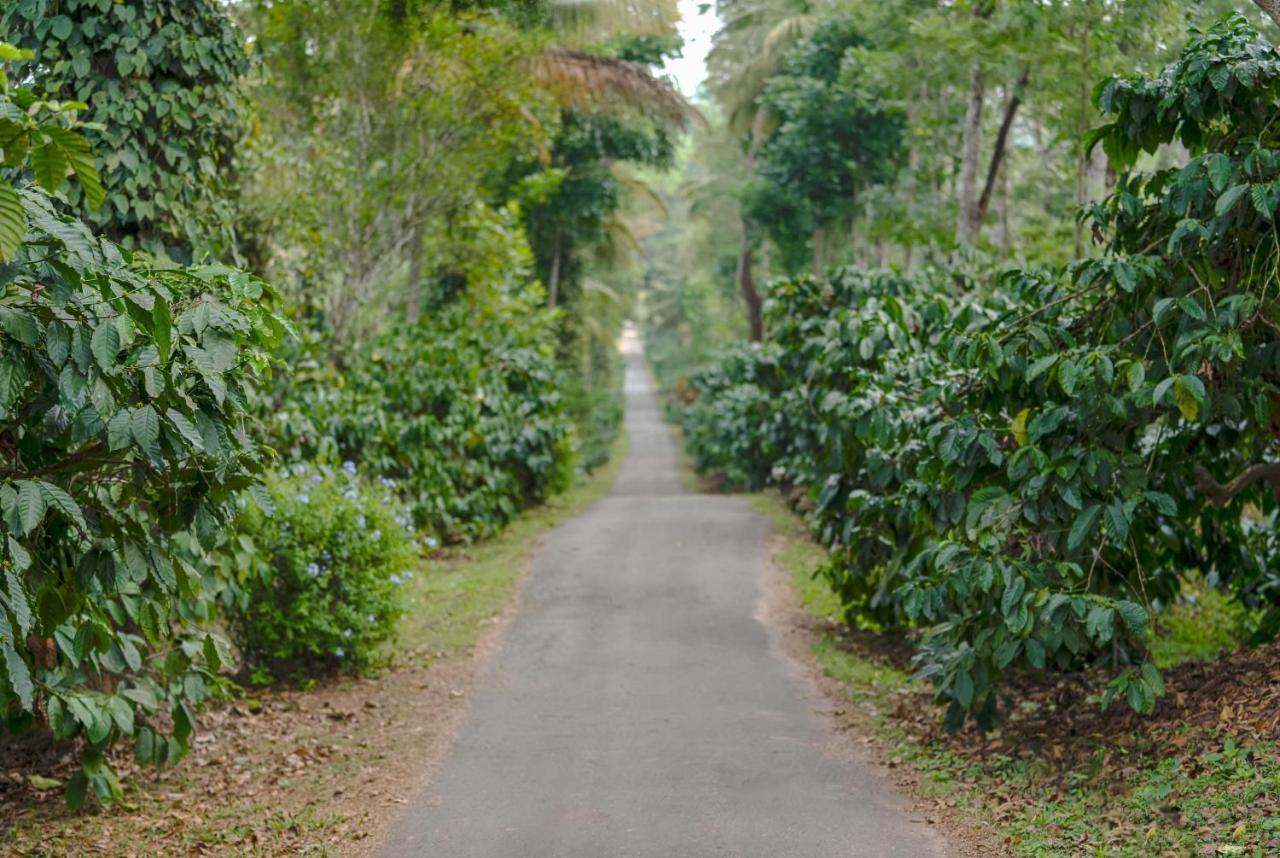 Belvilla The School Estate- Luxury Heritage Home In 200 Acres Madikeri Buitenkant foto